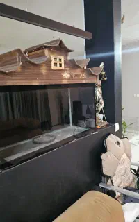 شیشه اکواریم لوکس