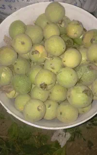گردوی تویسرکان درجه یک پوست کاغذی