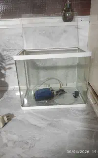 اکواریم