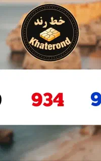 0919.934.9008