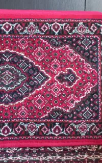 پشتی سالم ونو