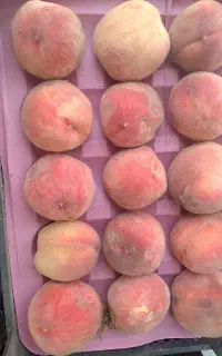 هلو درجه یک مارکده
