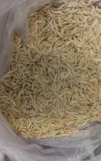 فروش جو