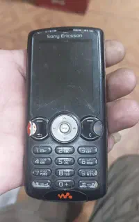 w810