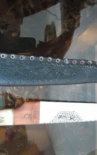 ۴۰ سانت اناب شاخ استخون