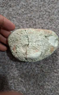 فسیل