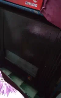 بخاری نیکالا