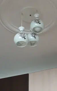 لوسترسه شاخه