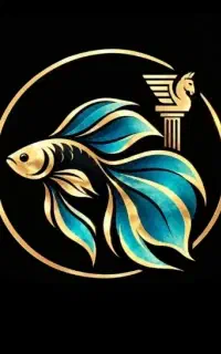 فایتر رایگان قرعه‌کشی پارس بتا