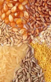 فروش جوذرت سویا ونهادهای های دام وطیور