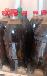 فروش کشمش بی دانه وشیره انگور