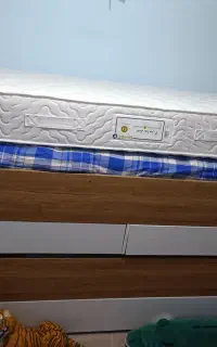 تشک طبی فنری ( رویا ) کاملاً نو