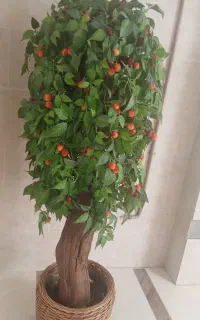 درختچه گیلاس  خارجی مصنوعی