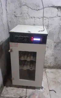 دستگاه جوجه کشی  ۱۲۶ تای هدایت