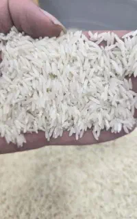 کارگر کارخانه برنجکوبی