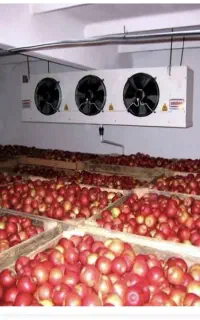 خدمات اسپیلت ،یخچال خانگی و صنعتی ،سردخانه