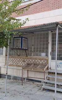 تجاری