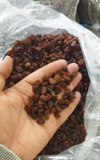 کشمش بیدانه آبگیری