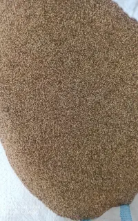 ارزن درجه یک بوجاری شده