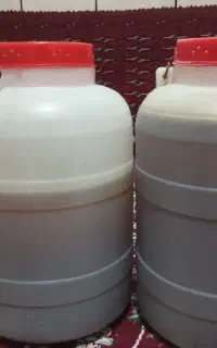 عسل