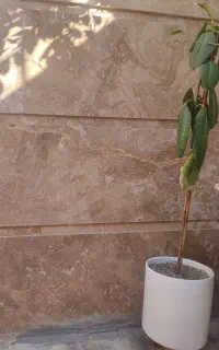گل و گلدون با هم