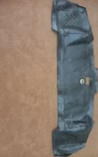 روگش سینه