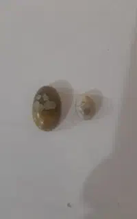 سنگ انگشترقدیمی سلیمانی