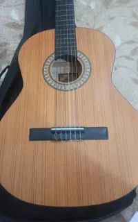 گیتار پارسی m2