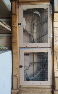 قفس
