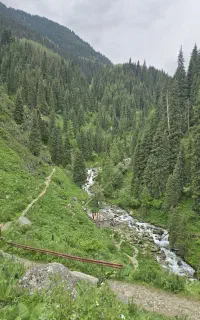 تور گردشگری