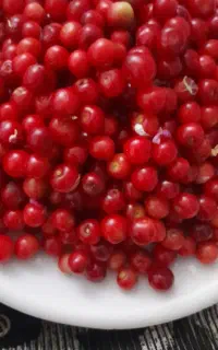آلبالو خوب برای دمنوش