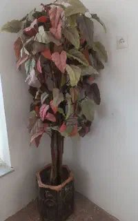 درخت مصنوعی  و تابلو طبیعت
