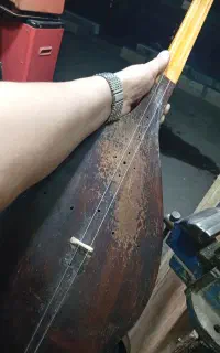 ۲ تار قدیمی برند حیدری