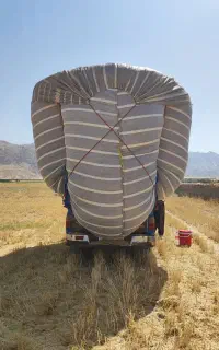 خرید فروش کاه گندم وجو