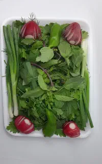 سبزی خوردن