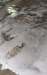 قالیشویی مبلشویی گلستان سبزدشت قلعه میر صالحیه