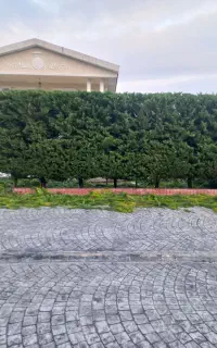 هرسکاری تخصصی بادستگاه ،سم پاشی،علف تراشی بادستگاه