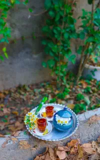 فنجان