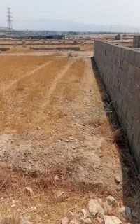 ۲۰۰ متر مزروعی بهارستان