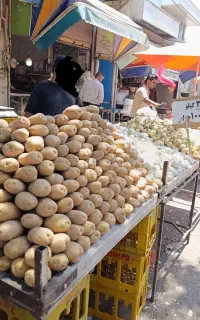 کارگرساده