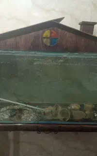 آکواریوم با پایه و کلبه چوبی