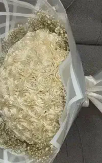گل ربانی زیر قیمت