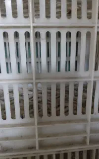 سبد پلاستیکی