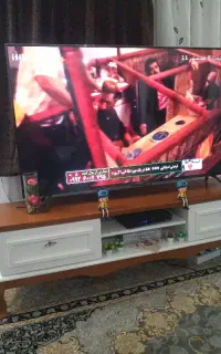 تلویزیون ایکس ویژن