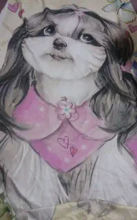 پرده حریر عروسکی وهازان