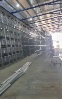 مرغداری تخمگذار ،کاردان دامپروری ،سرپرست تولید