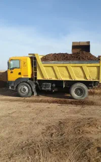 کود گوسفندی وگاوی