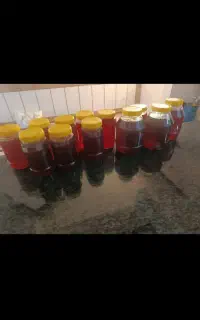 عسل میشکورک کاملا طبیعی و بدون شکر
