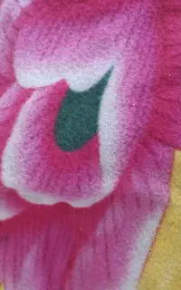 چادور پراید