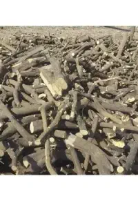 خریدار و برشکاری چوب پرتقال نارنگی لیمو و جنگلی